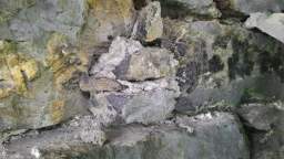 acastle
                          110065.jpg